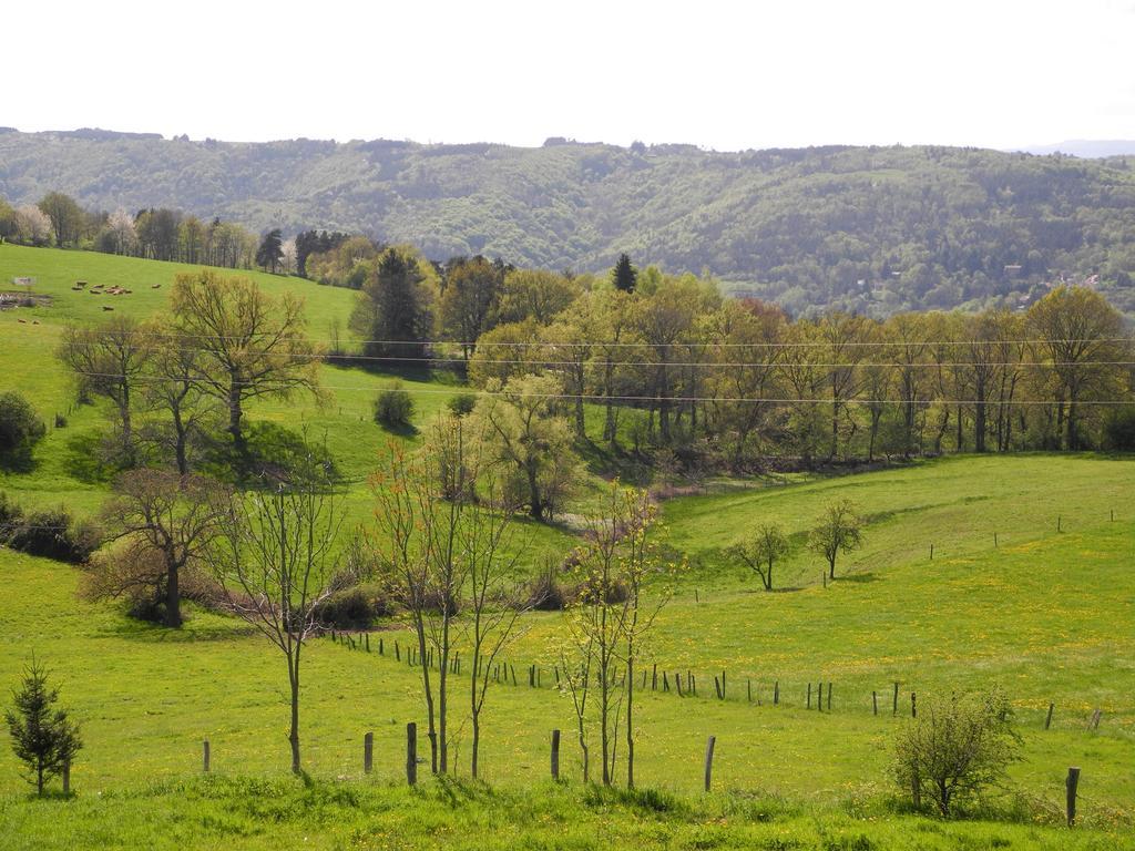 Bed and Breakfast Le Plateau De La Danse Saint-Victor-sur-Loire Exterior foto